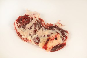 Meat Cut Spec Step 1